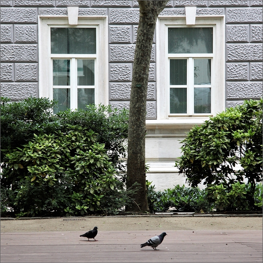 Trieste Piazza Hortis