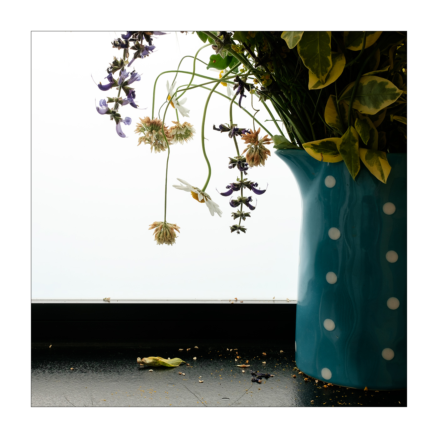 Non vi scordate di noi