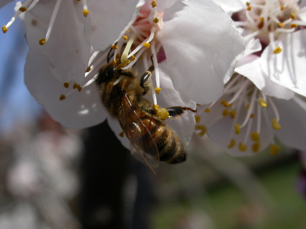 ci ho provato anche io...