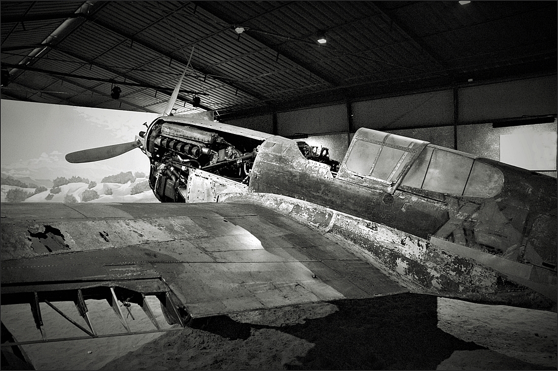 Museo dell'Agro Pontino  img.078