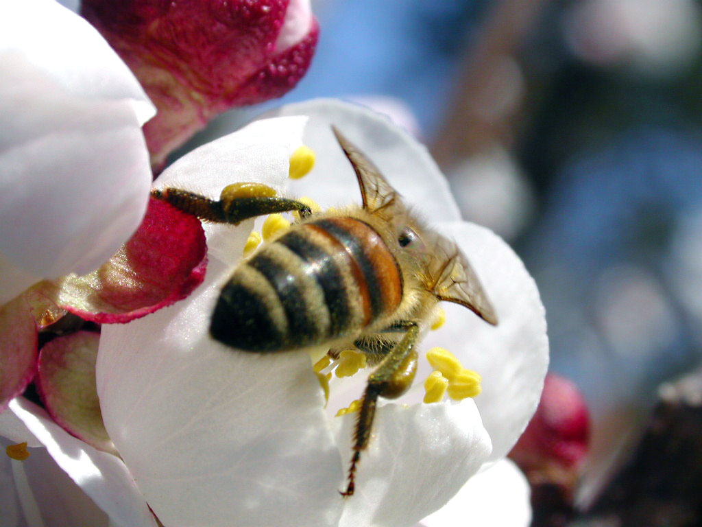 uh..che scorpacciata