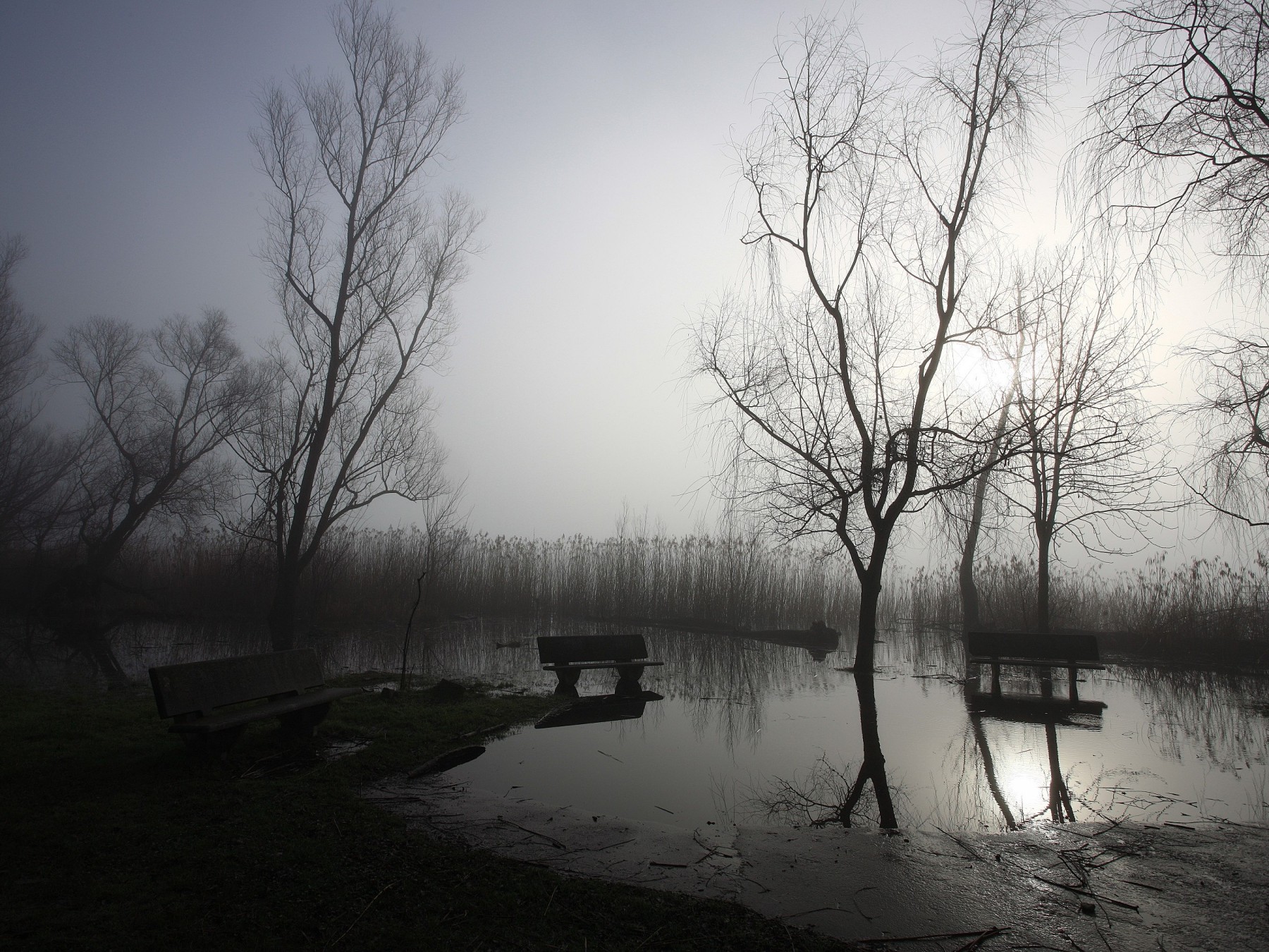 Aspettando godot ???