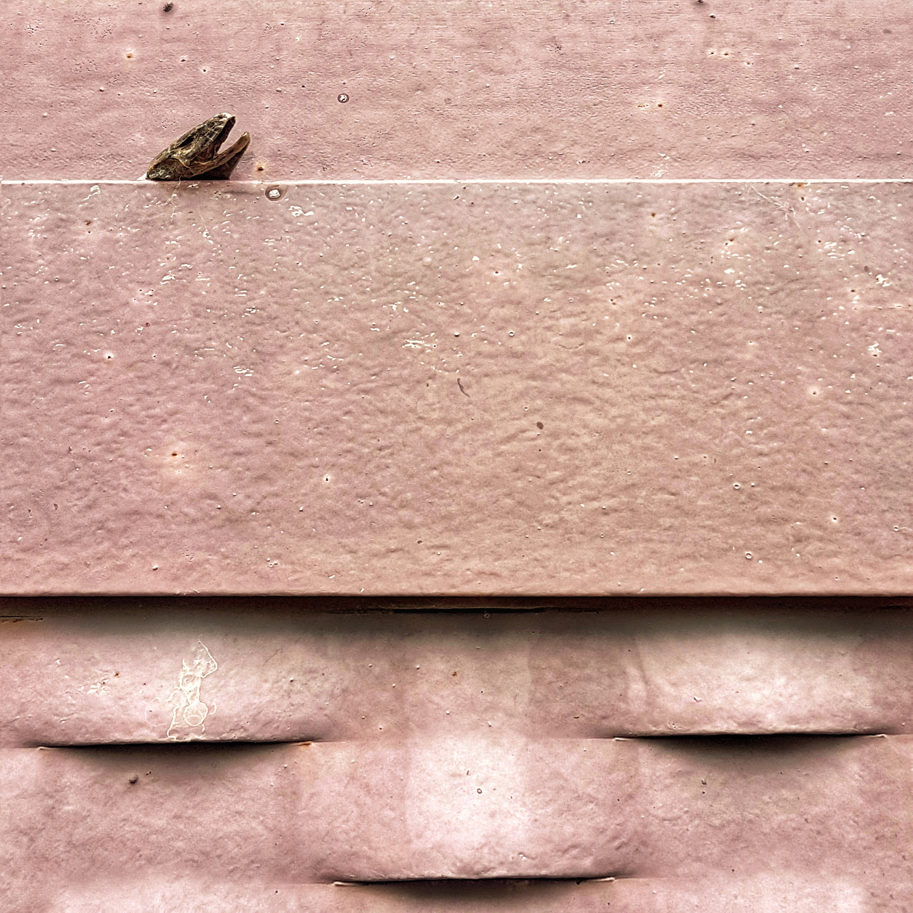 una testa tagliata (o forse due)