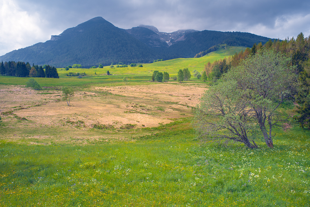 Montagna di Primavera