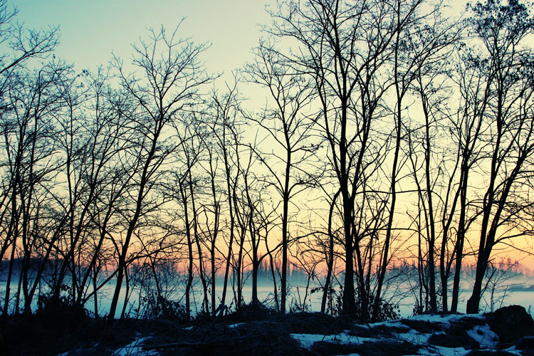Alba vicino a Milano