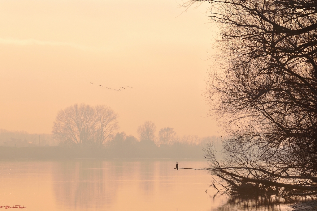 verso l'imbrunire.....