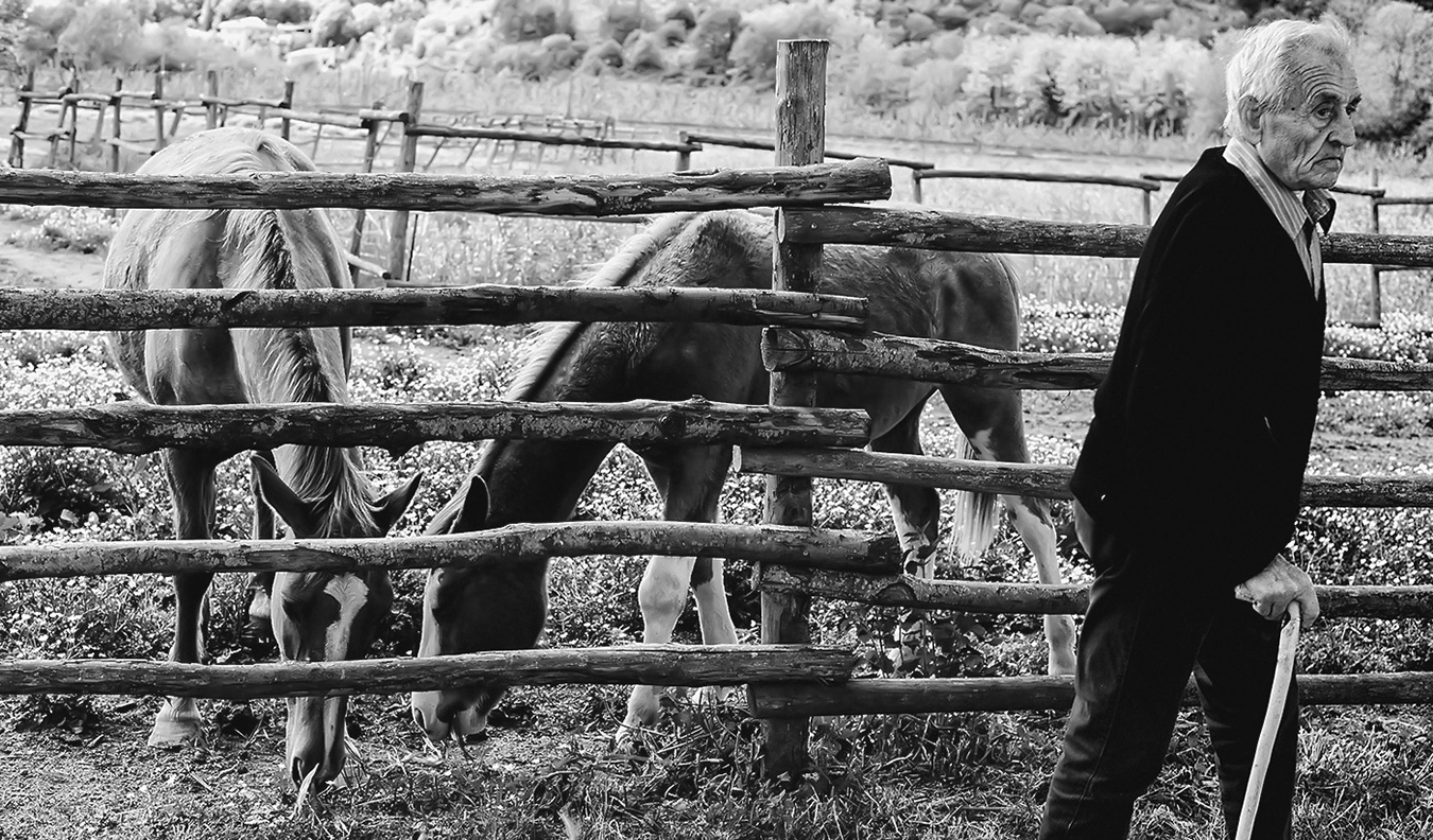 L'uomo che non sussurrava ai cavalli