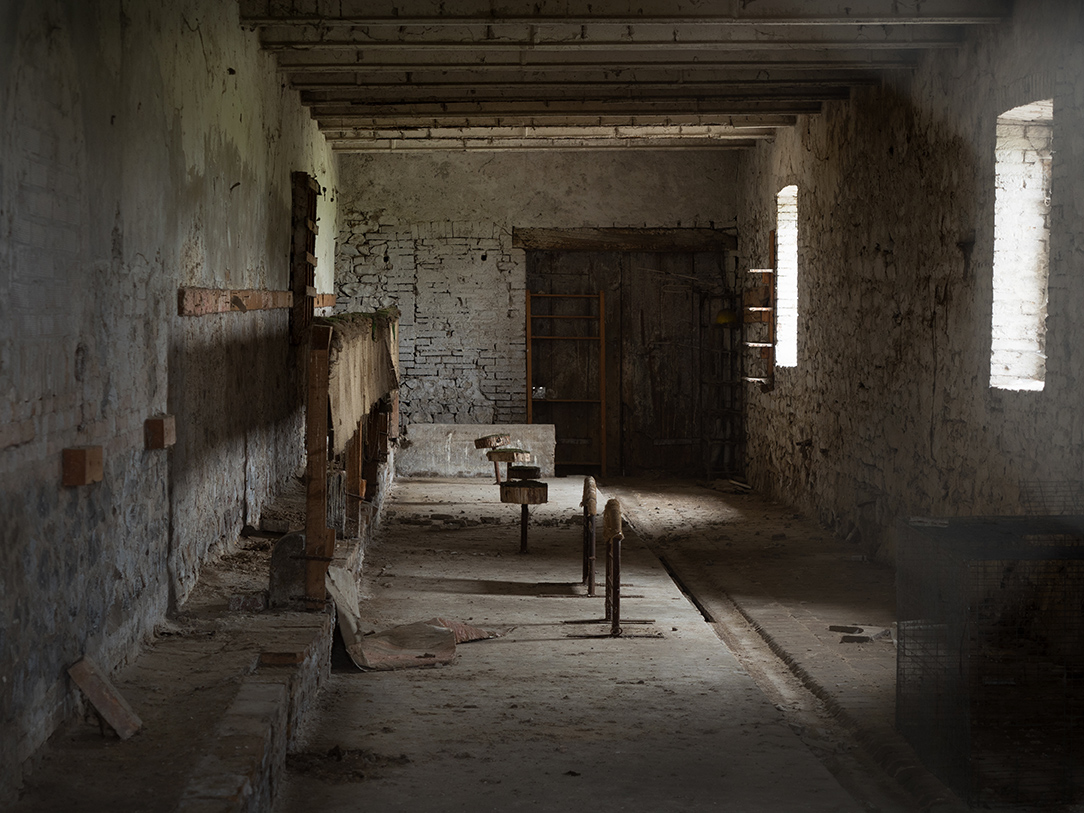 Fattorie abbandonate ... nuove scoperte!