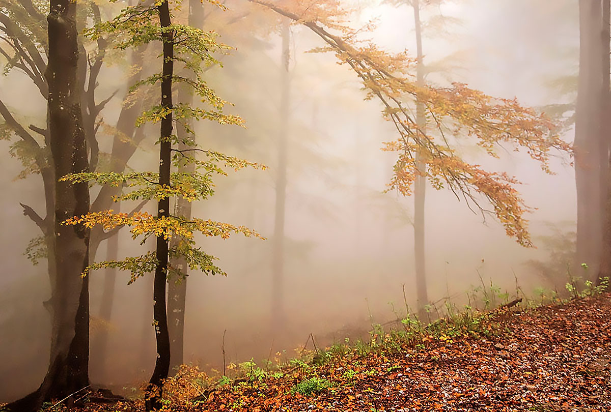 aspettando l'autunno