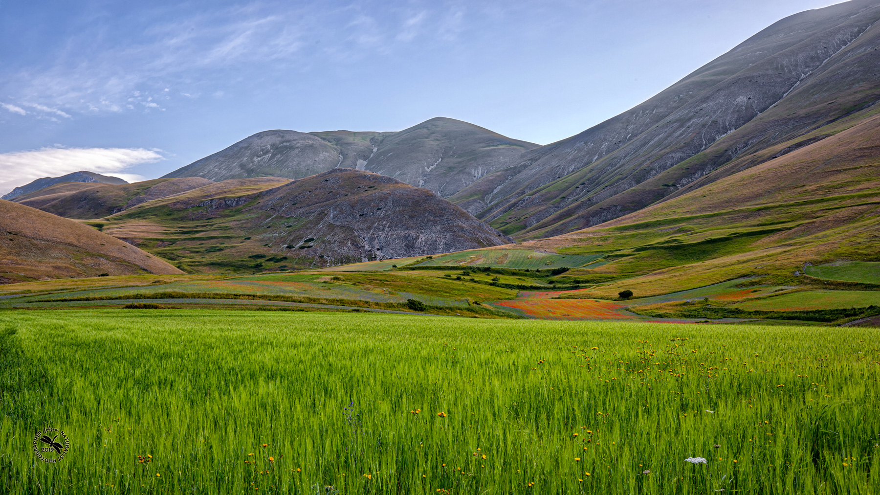 Un'alzataccia 2 ma....