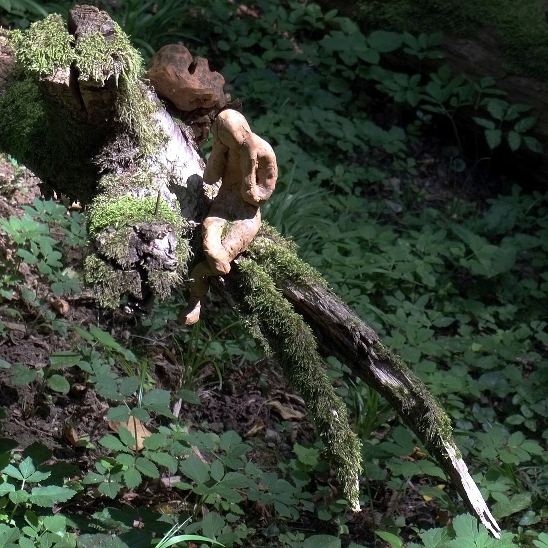 Il rumore del silenzio