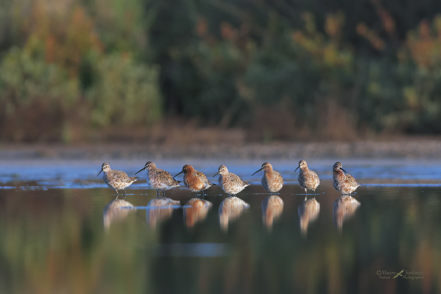 Tutti-in-fila_DSC8305