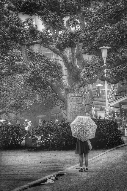 Osaka - Castle Garden