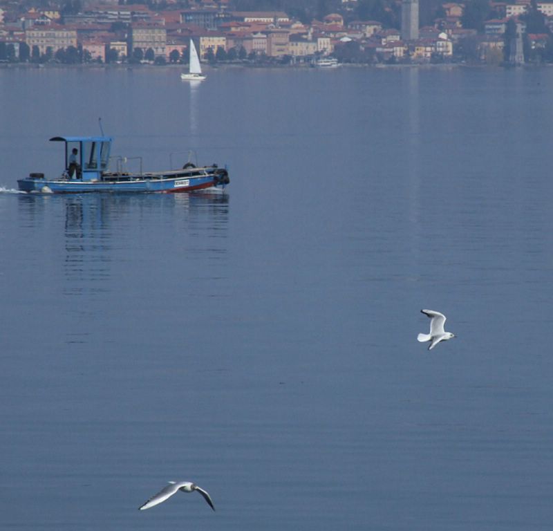 Lago Maggiore