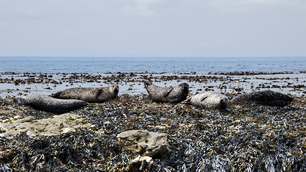 bagnanti a rifiuti zero