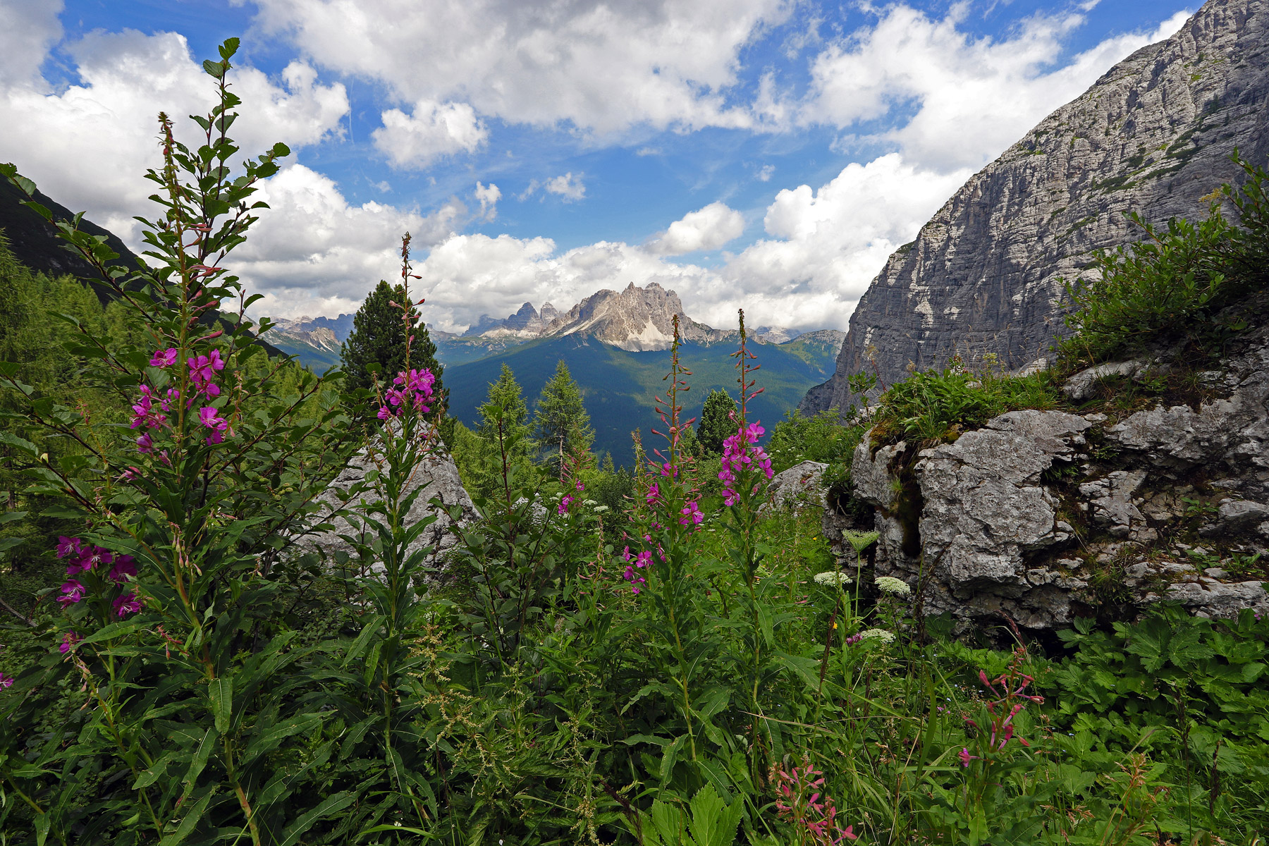 dal rifugio vandelli