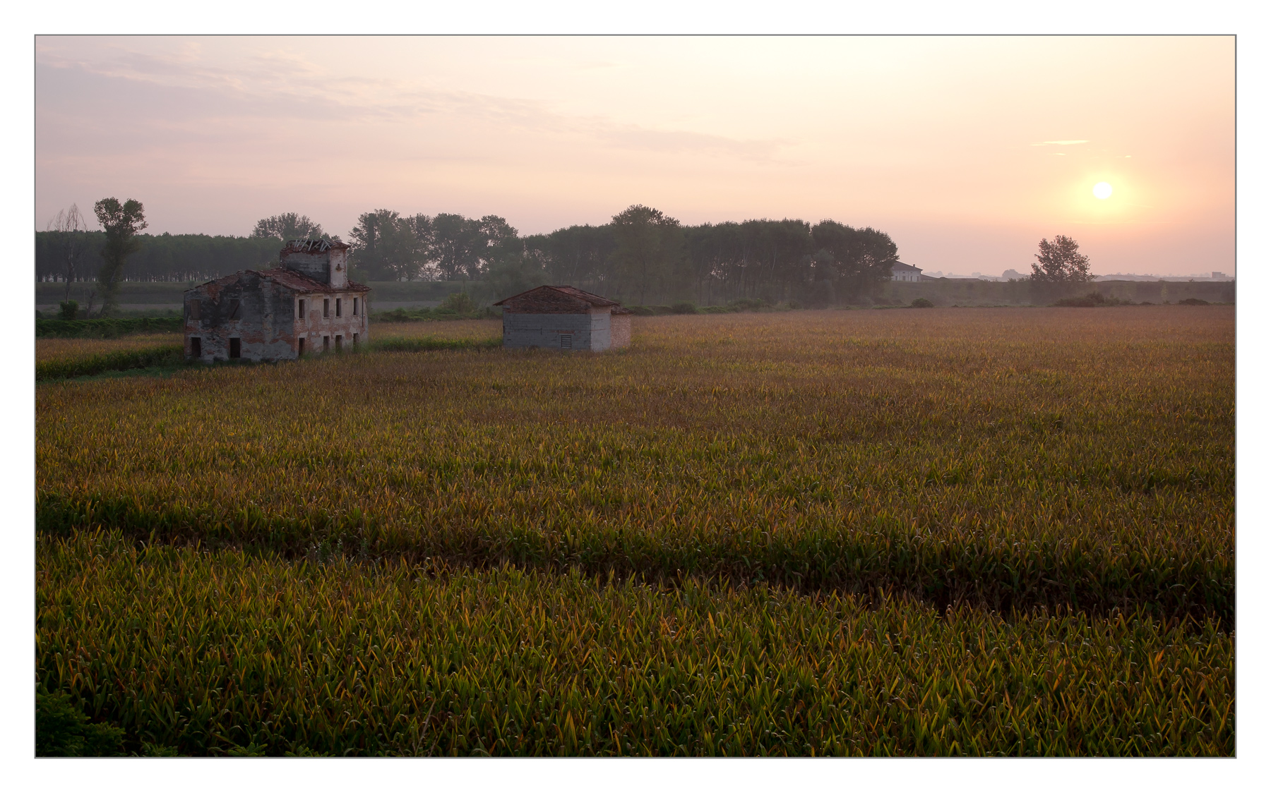 semplicemente...alba