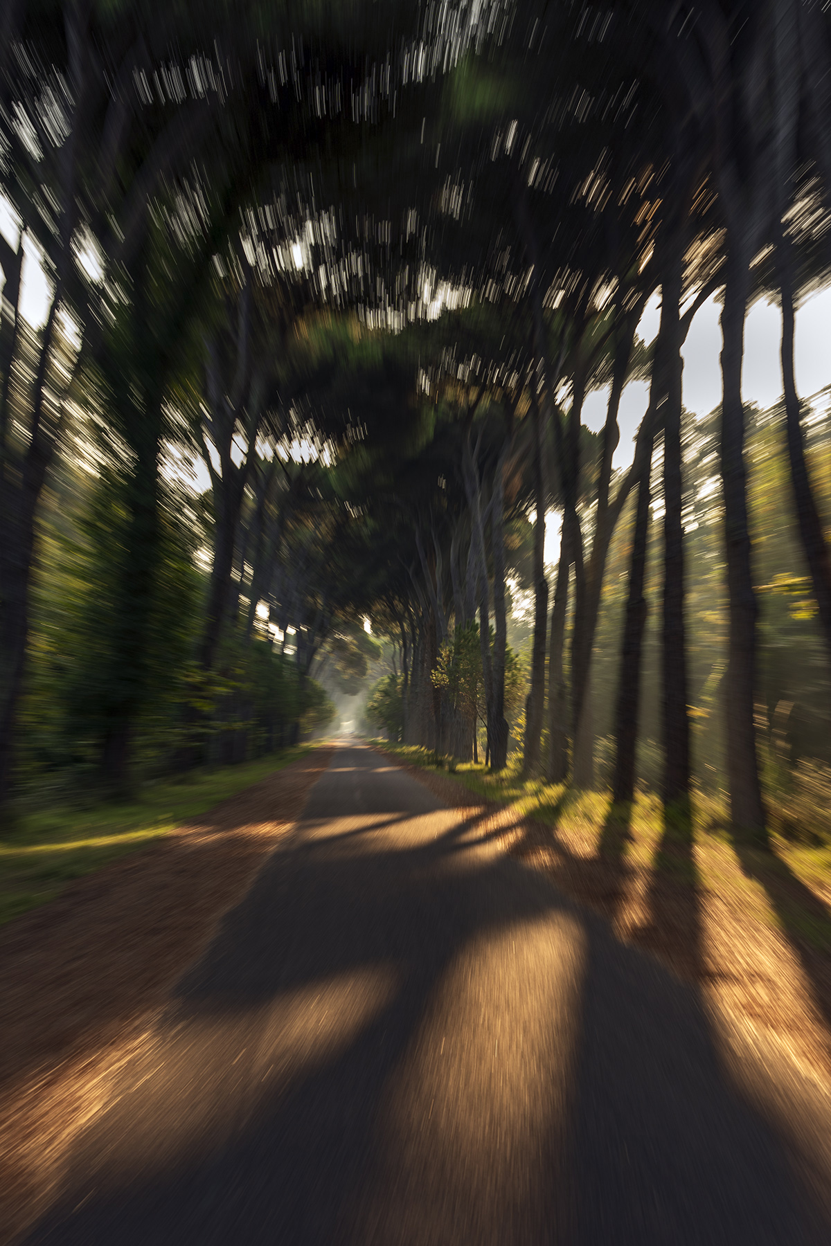 Finir� prima o poi !