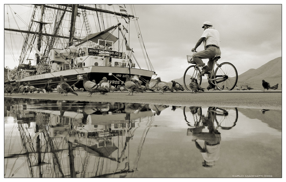 Vele bici e piccioni