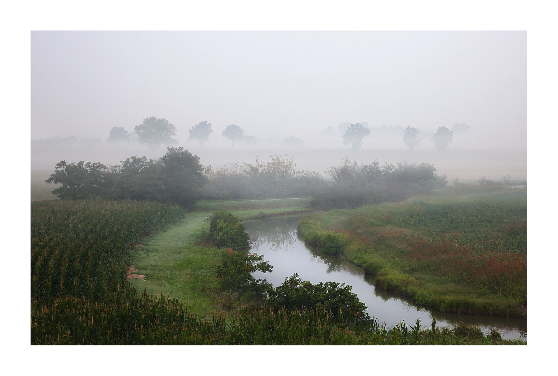 foschie mattutine...