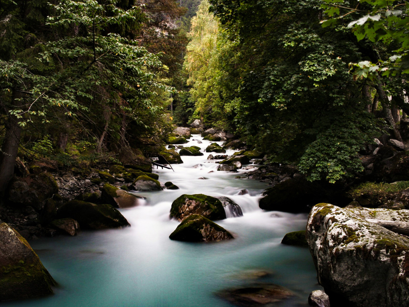 || Passeggiando in montagna ||