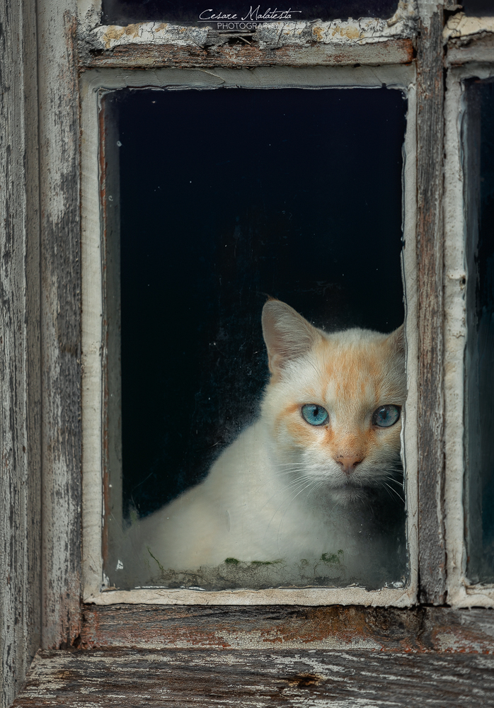 Autunno alla finestra