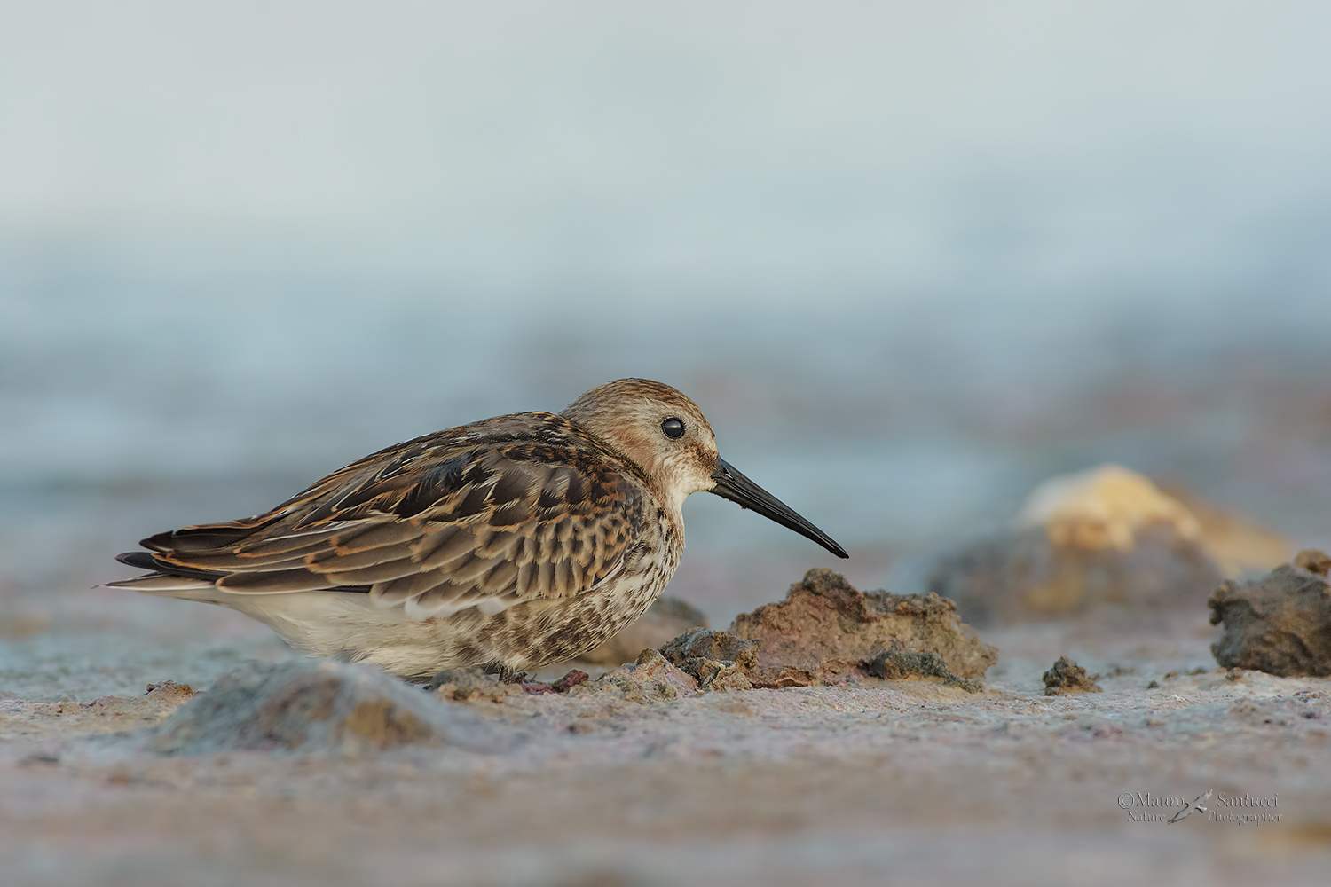 Col-sole-che-nasce-negli-occhi_DSC8972