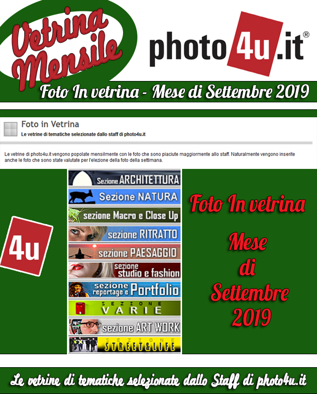 Vetrine mensili Settembre 2019
