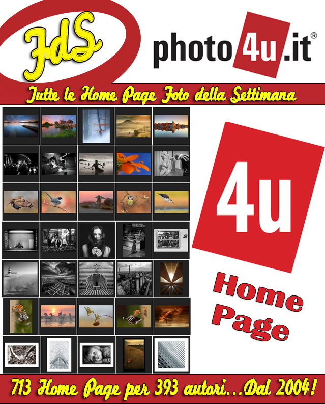 713 Home Page per 393 autori...Dal 2004!