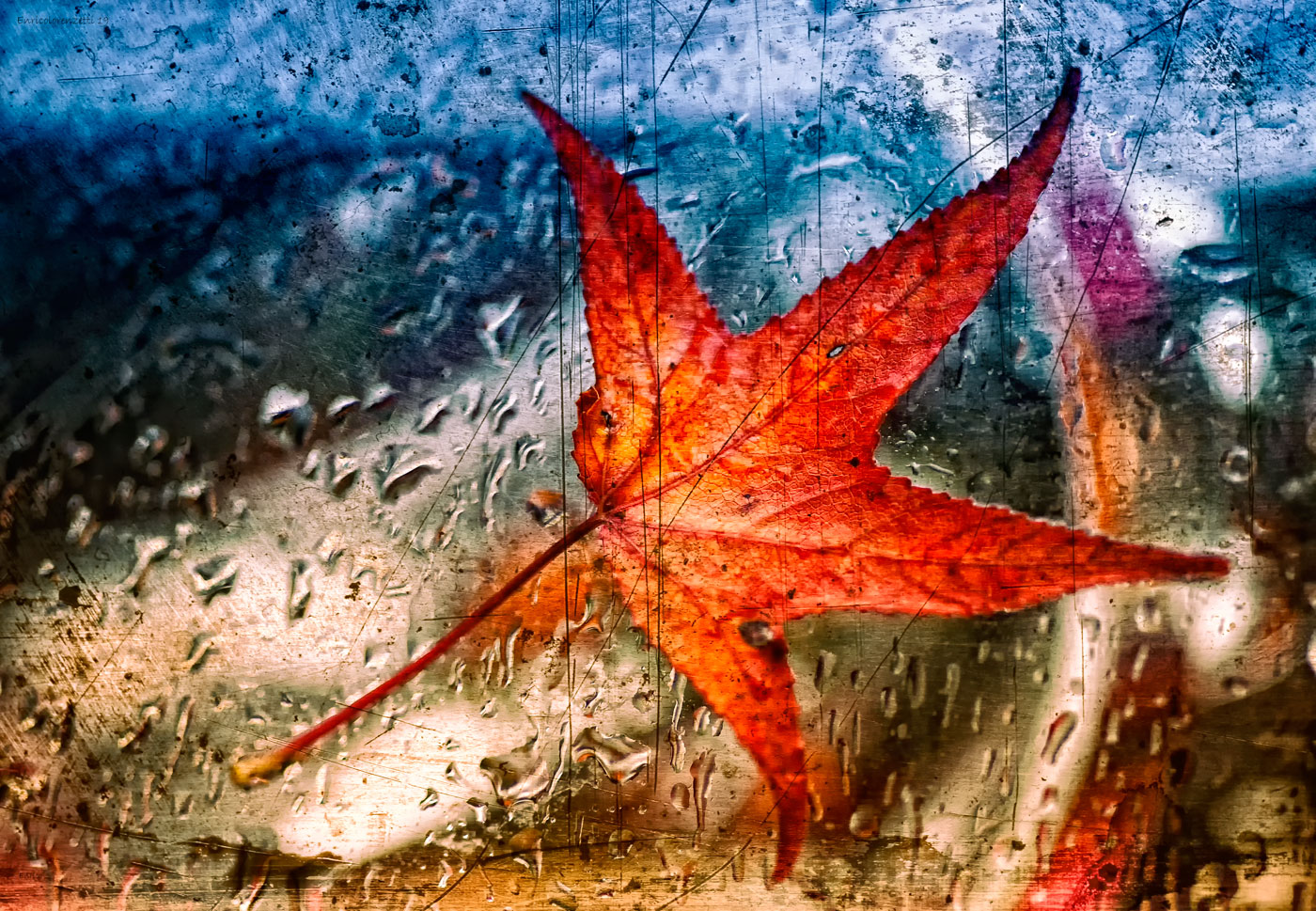 l'autunno con i suoi colori..