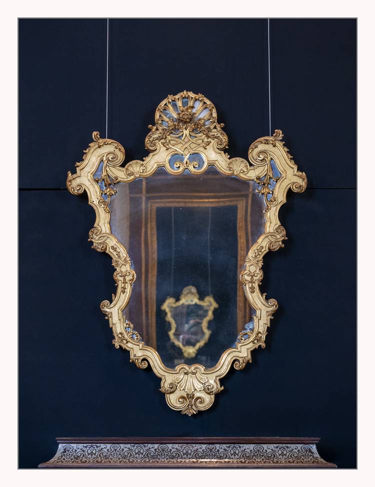 Reggia di Colorno #2