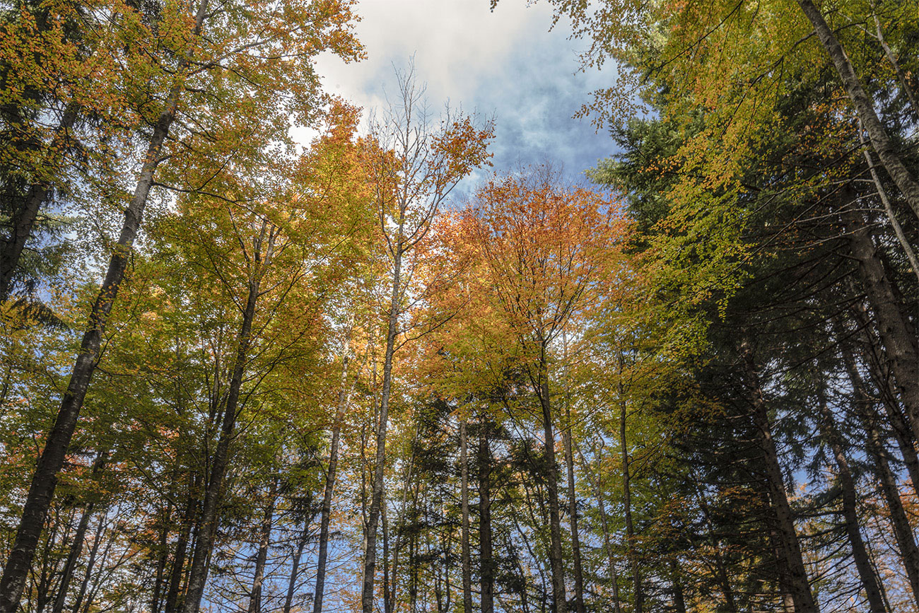 Critica al buio - Foto 010