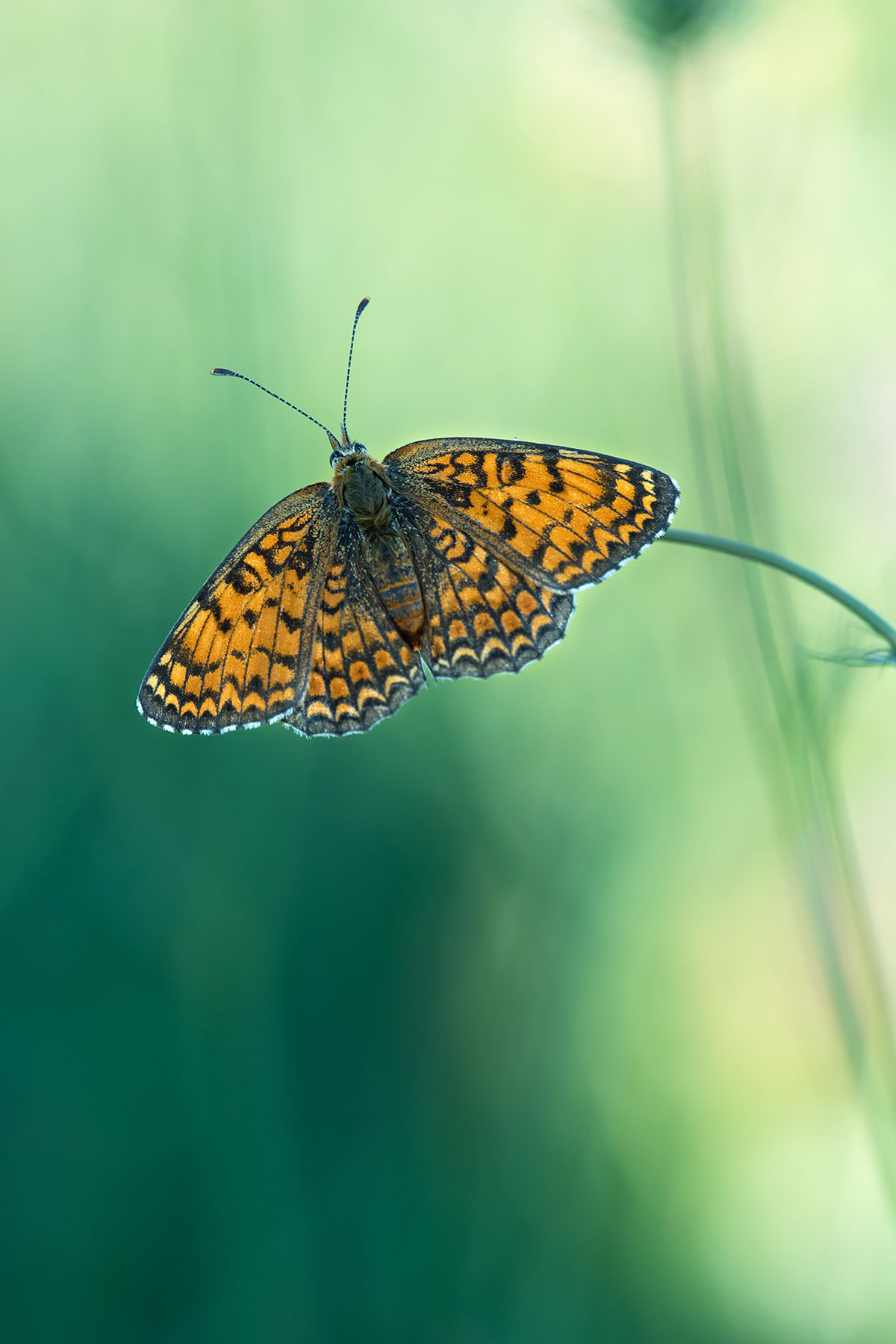 Critica al buio - Foto 011