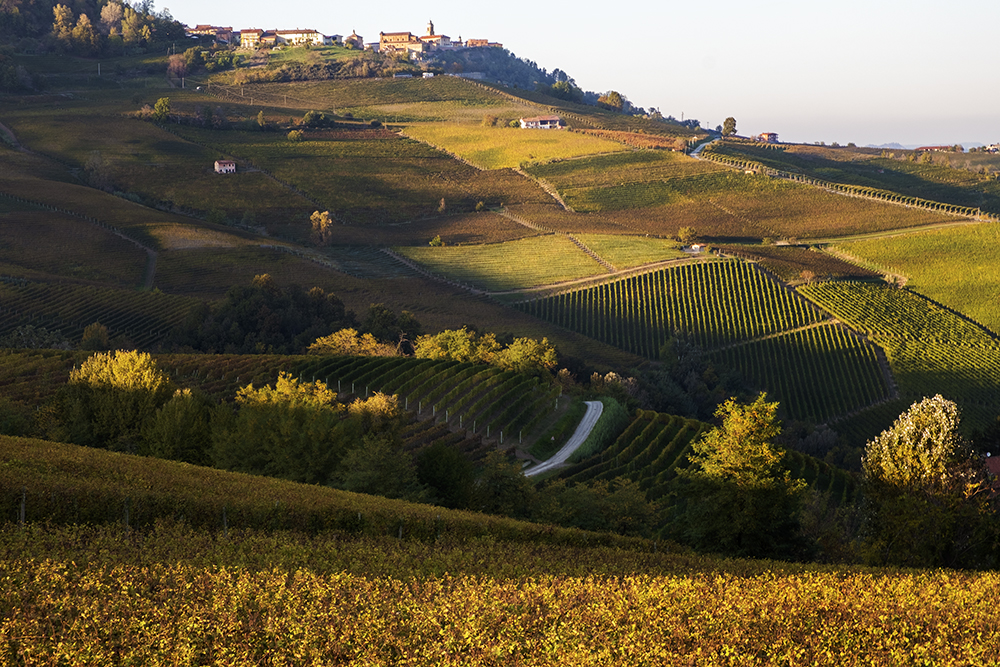 Autunno nelle langhe