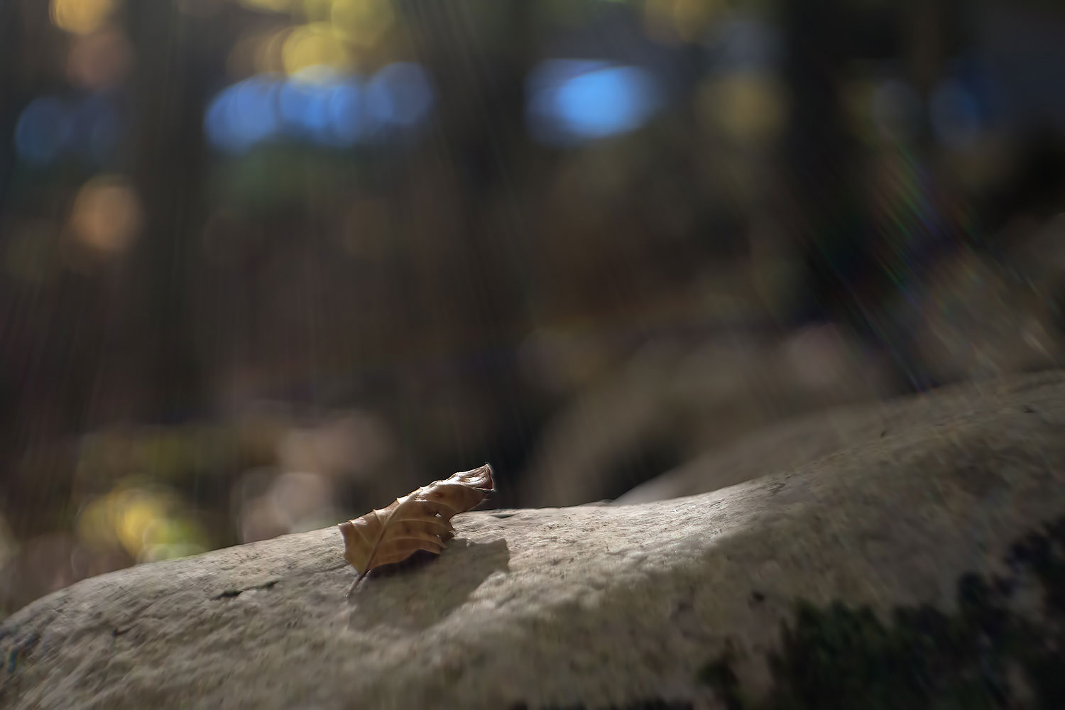 Critica al buio - Foto 013