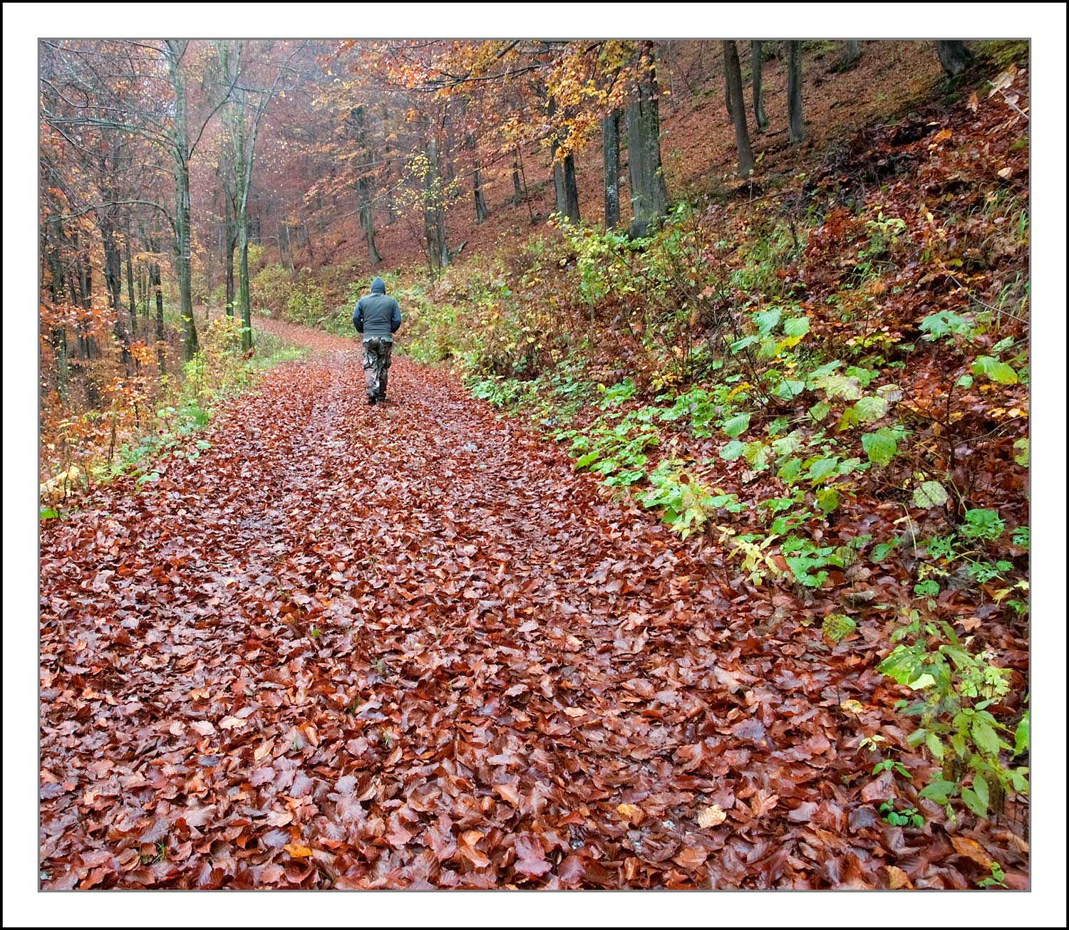 sentirsi circondato dal colore....