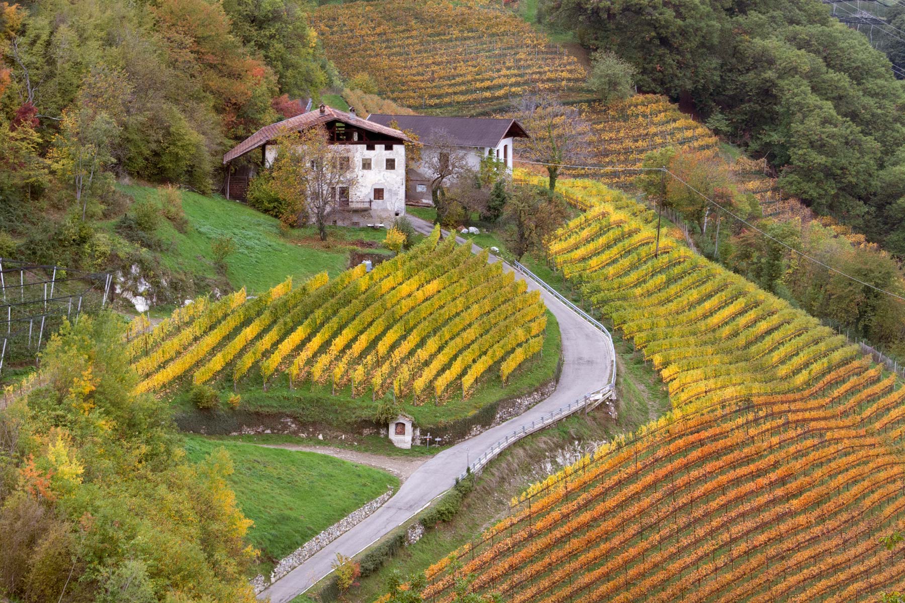 I colori dell'autuno