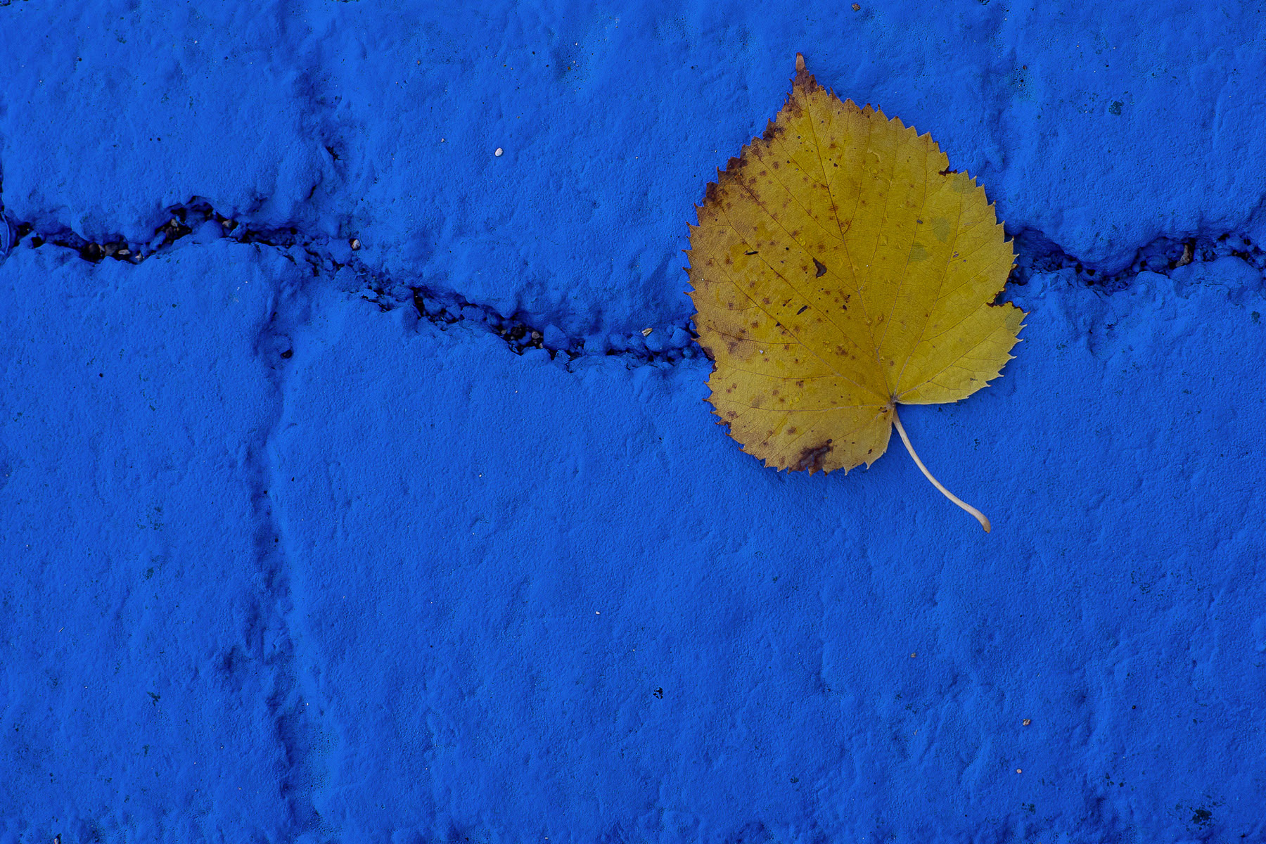 Critica al buio - Foto 015