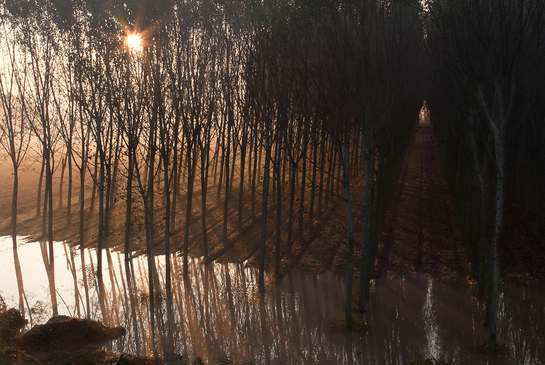 dalla luce all'ombra....