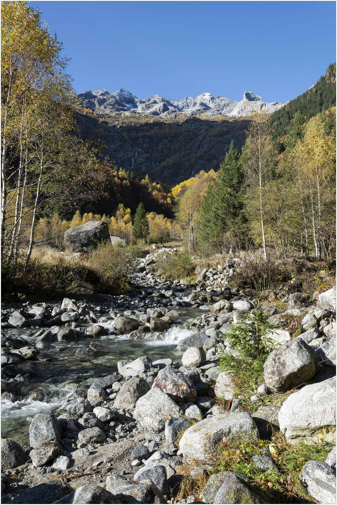 Val Masino