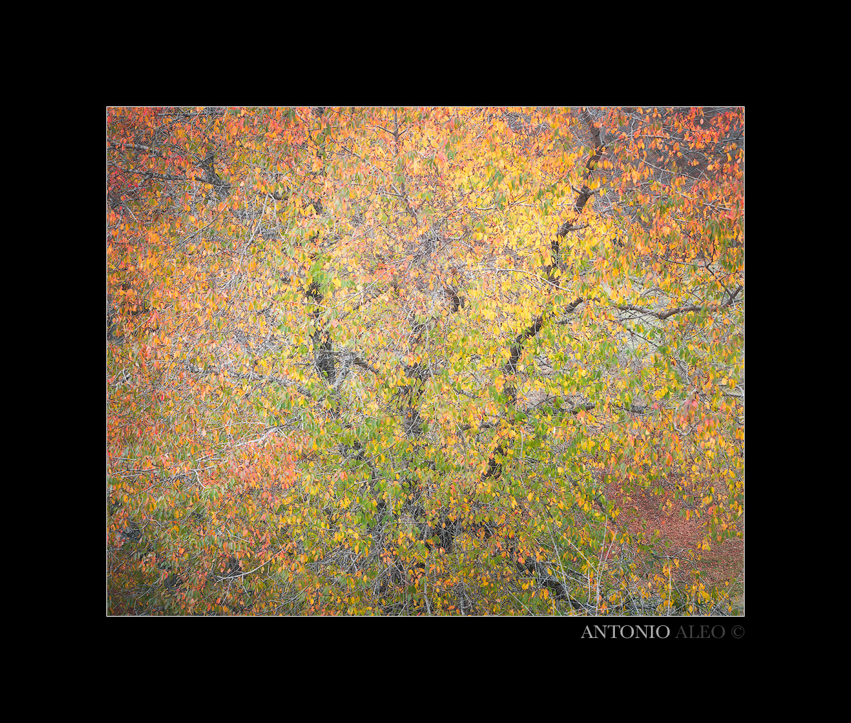 Silent and harmonius