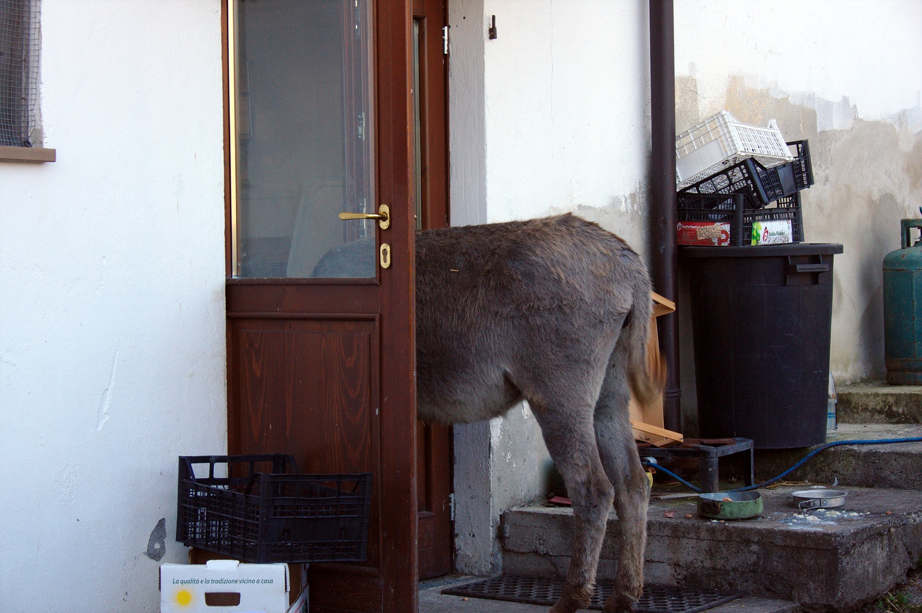 la qualit� e la tradizione vicino a casa