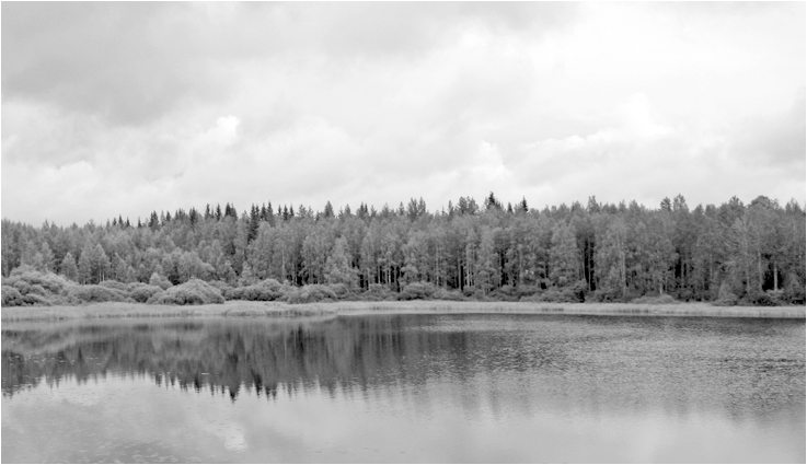 Anticipazione d'inverno - Finlandia 2019