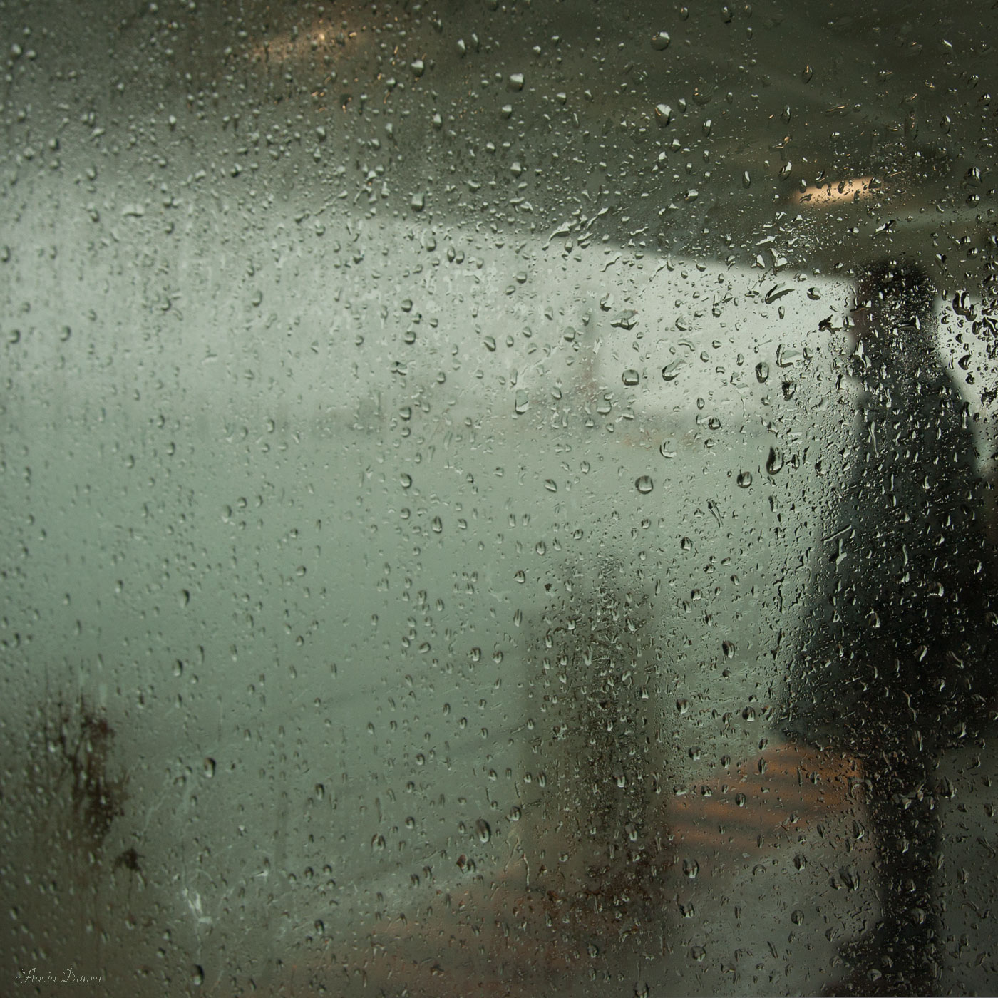 Ormai siamo senza parole