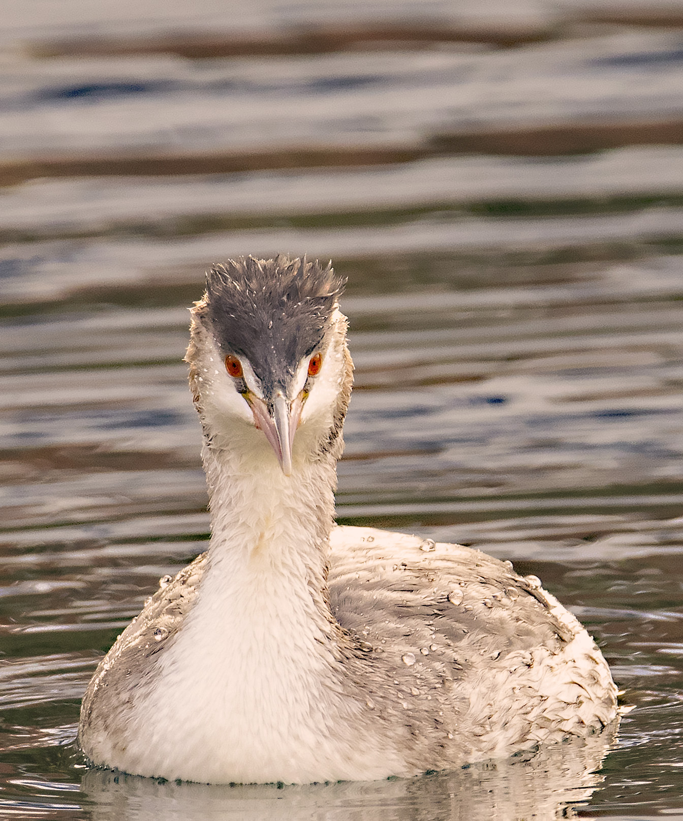 Ti piace il mio ciuffo????