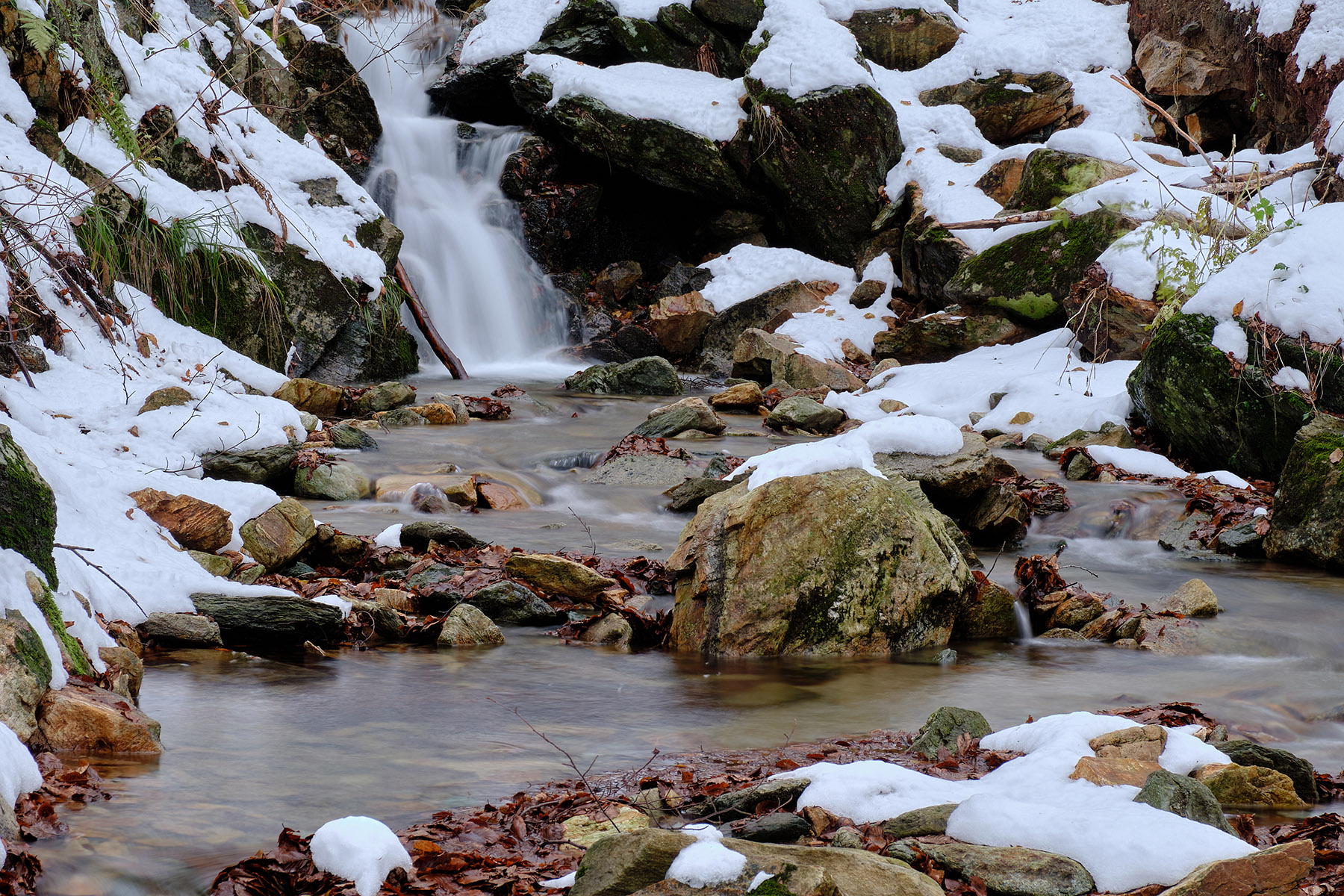 Tra l'autunno e l'inverno