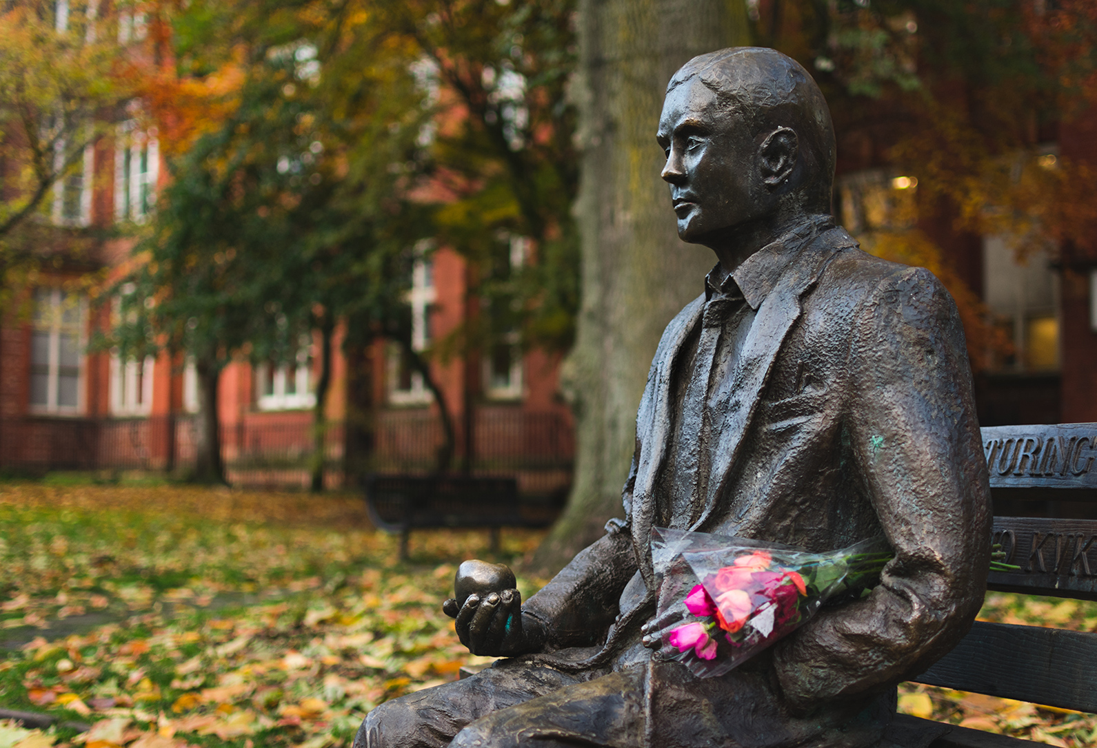 Do you want an apple?