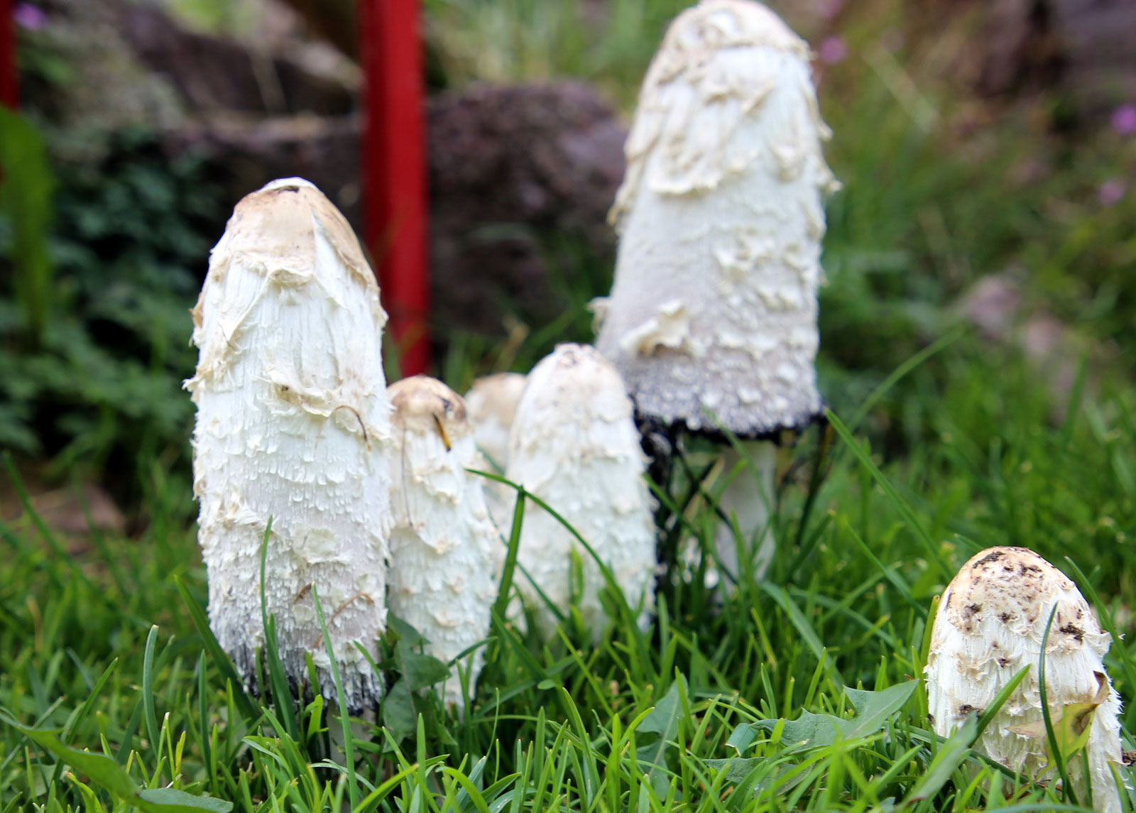 Critica al buio - Foto 028