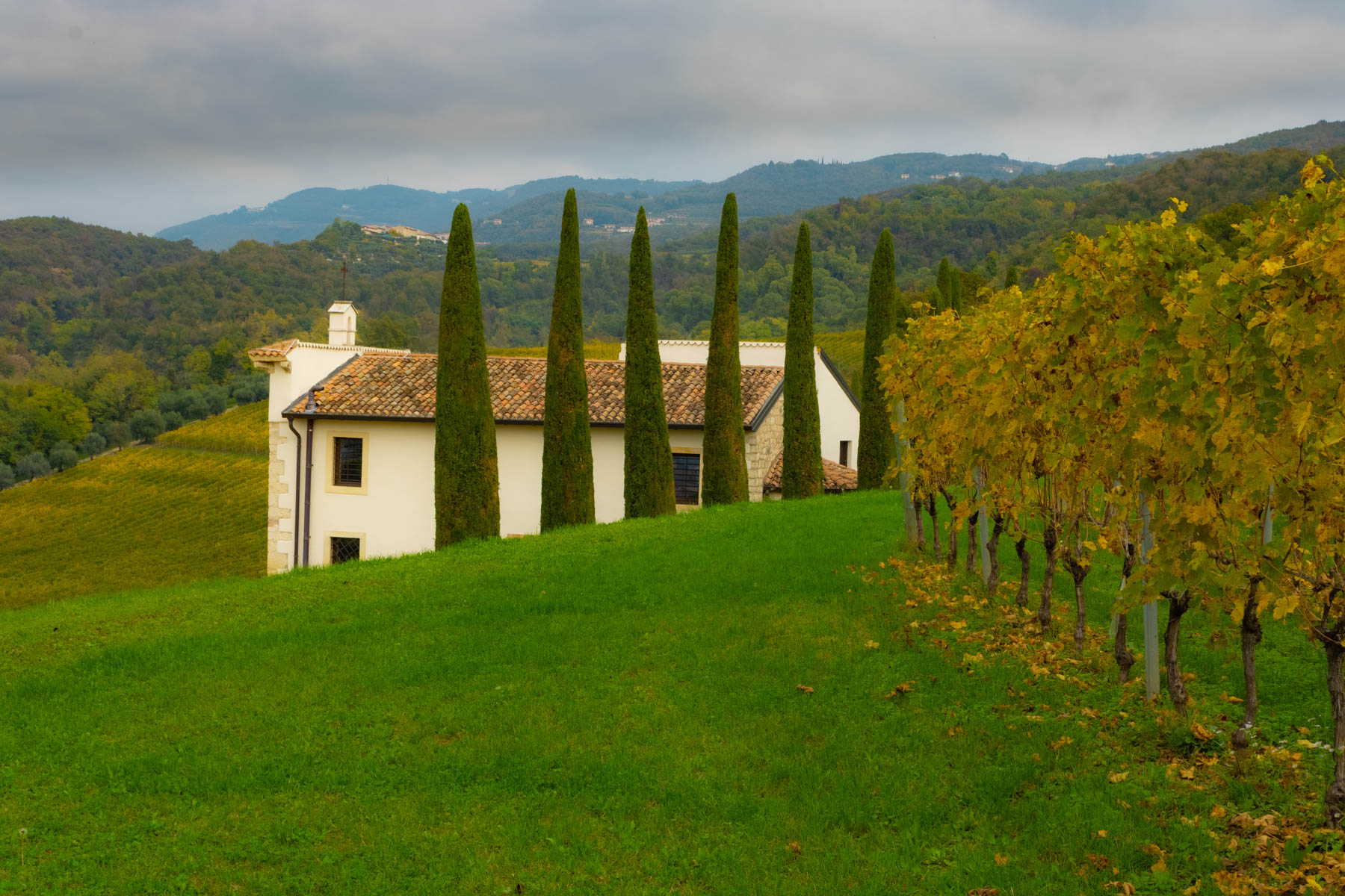 Nella campagna della Valpolicella