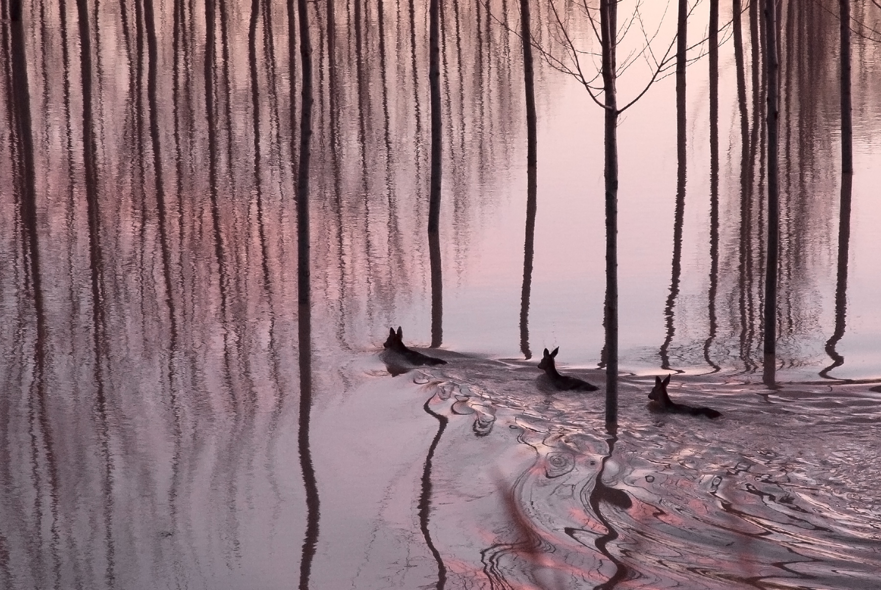 incontri inaspettati...